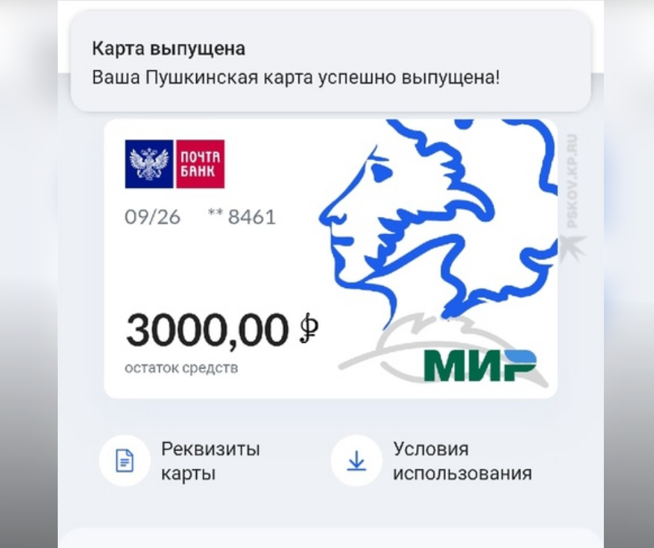 Пушкинская карта ярославль как оформить